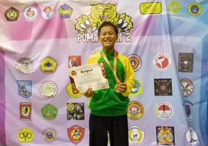 Sariman Pencak Silat