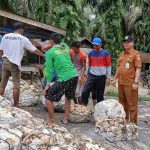 11zon_cropped (1)_11zon