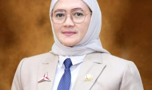 WhatsApp Image 2025-11-14 at 11.14.59