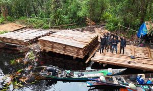 300-meter-kubik-kayu-ilegal-disita_11zon