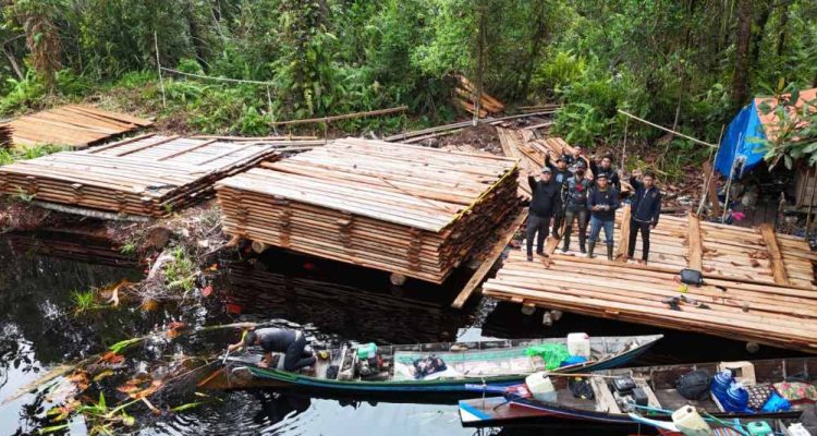 300-meter-kubik-kayu-ilegal-disita_11zon