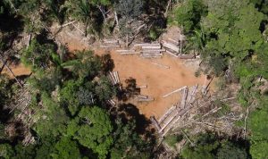 penggundulan-hutan-amazon-berada-di-titik-kritis-1751947387313_11zon