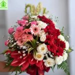 WhatsApp Image 2026-01-16 at 14.40.27_11zon