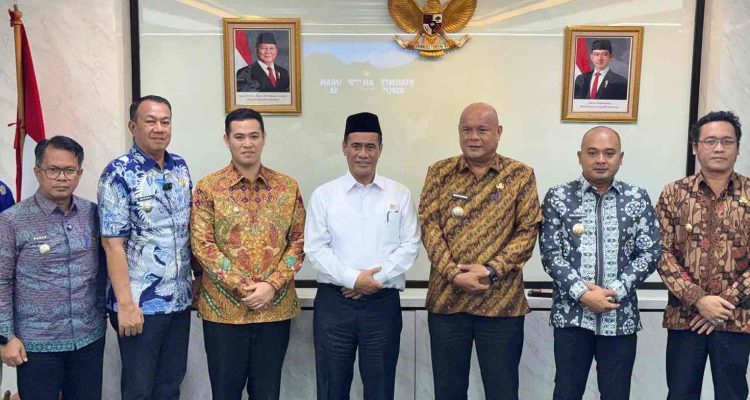 WhatsApp Image 2026-02-12 at 16.17.19_11zon