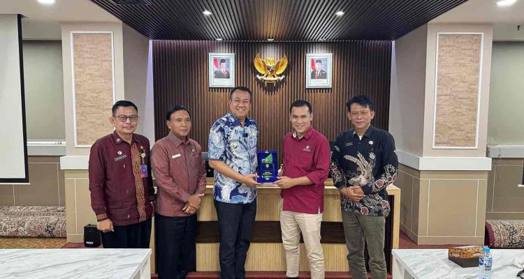 WhatsApp Image 2026-02-12 at 16.29.23_11zon