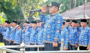 WhatsApp Image 2026-02-19 at 11.04.32_11zon