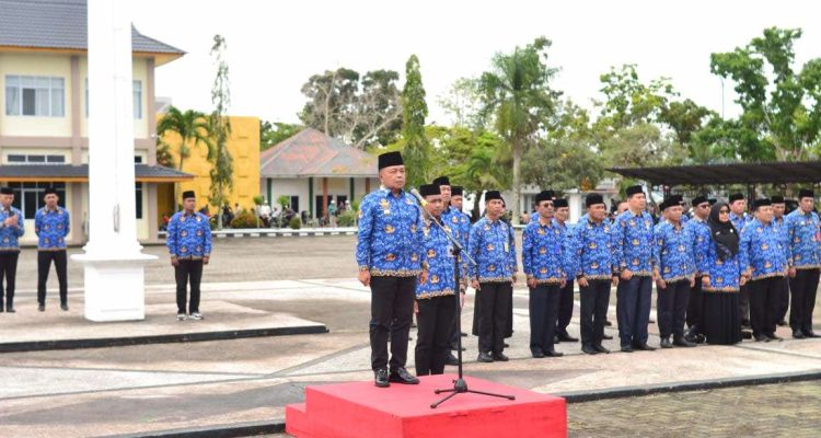 WhatsApp Image 2026-03-02 at 14.09.29 (1)_11zon