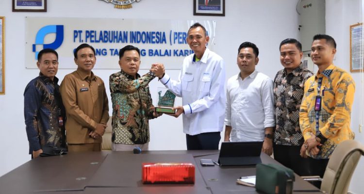 WhatsApp Image 2026-03-02 at 17.55.03