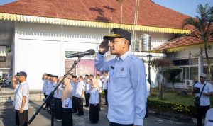 WhatsApp Image 2026-03-25 at 17.48.29_11zon