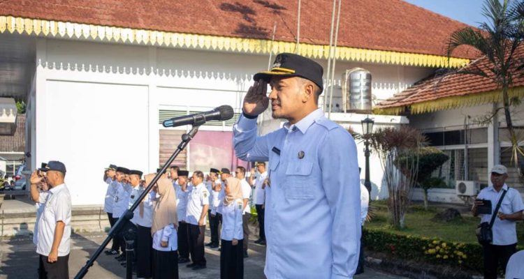 WhatsApp Image 2026-03-25 at 17.48.29_11zon