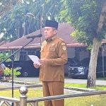 WhatsApp Image 2026-03-30 at 11.43.11_11zon