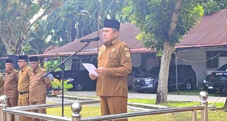 WhatsApp Image 2026-03-30 at 11.43.11_11zon