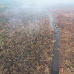 polisi-ringkus-pembakar-lahan-di-te_11zon