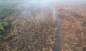 polisi-ringkus-pembakar-lahan-di-te_11zon