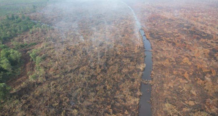 polisi-ringkus-pembakar-lahan-di-te_11zon